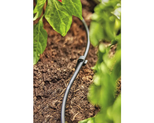 Zavlažovacia hadica so zemným hrotom v záhradnom záhone na zavlažovanie rastlín