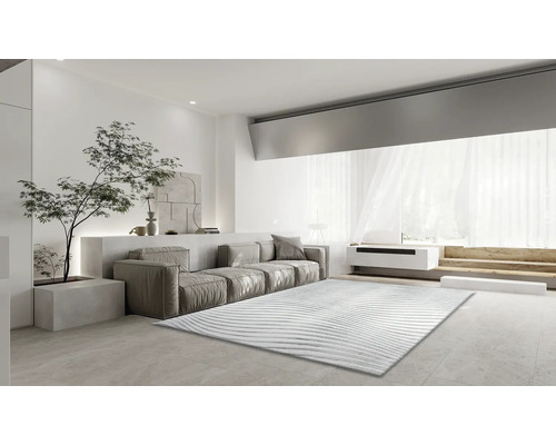 Obývacia izba s pohovkou, kobercom a izbovou rastlinou