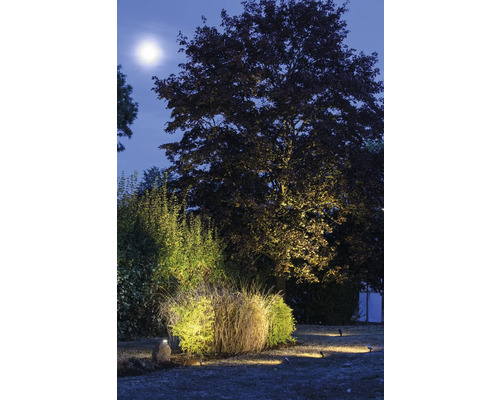 Osvetlená záhrada so stromami a kríkmi v noci