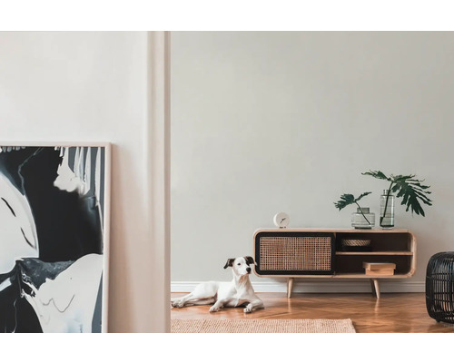 Obývacia izba s komodou, dekoráciou a psom