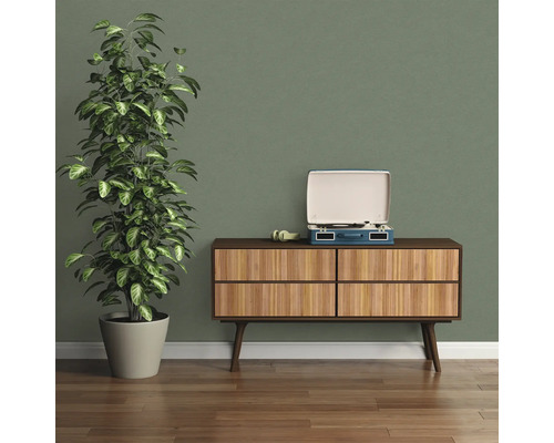 Obývacia izba s izbovou rastlinou, gramofónom a komodou