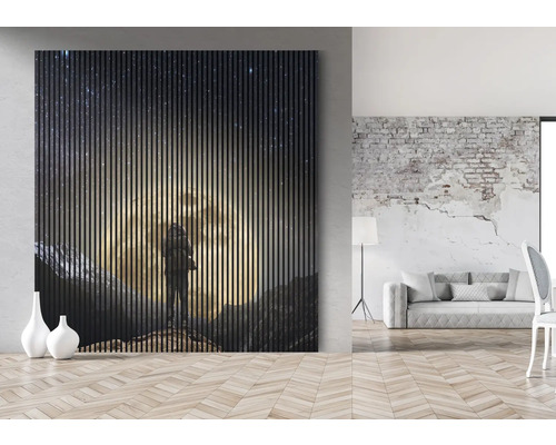 Stenový panel s motívom osoby pod hviezdnou oblohou v obývacej izbe.