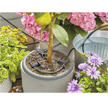 Solárne zavlažovanie Gardena AquaBloom sada-thumb-8 Solárne zavlažovanie Gardena AquaBloom sada-thumb-8