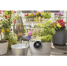 Solárne zavlažovanie Gardena AquaBloom sada-thumb-9 Solárne zavlažovanie Gardena AquaBloom sada-thumb-9