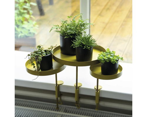 Stolík na rastliny s rastlinami na okennom parapete