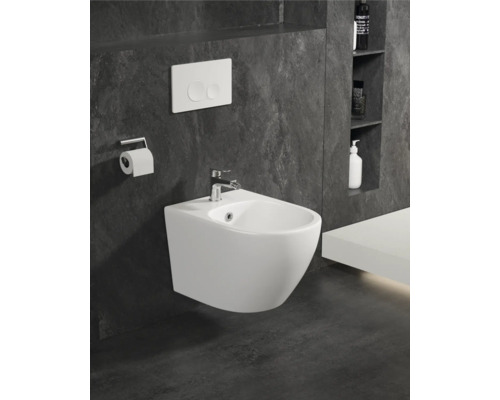 Závesný bidet s batériou, splachovacím tlačidlom a držiakom toaletného papiera v modernej kúpeľni