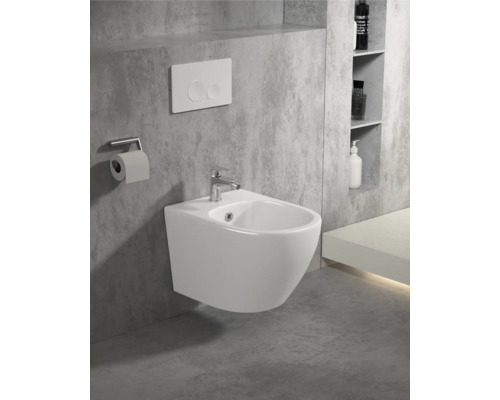 Závesný bidet s batériou, splachovacou nádržkou a držiakom toaletného papiera v kúpeľni.