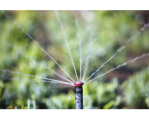 Zavlažovač trávnika zavlažuje trávnik