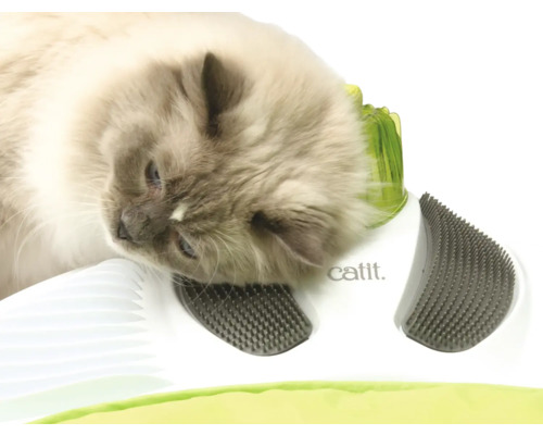 Mačka používa hračku pre mačky od Catit