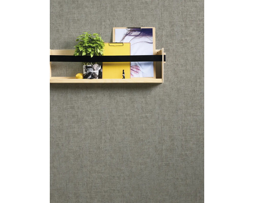 Drevená polica s rastlinou a kancelárskymi potrebami na stene