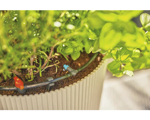 Zavlažovací systém v kvetináči s bylinkami