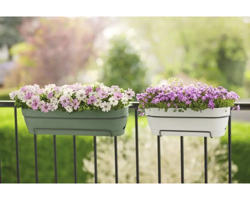 Dva kvetináče s kvetmi na balkónovom zábradlí
