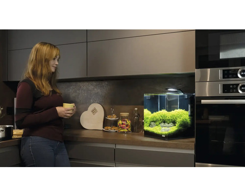 Akvárium s rastlinami v modernej kuchyni