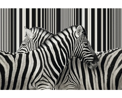 Detailný záber zebier s prúžkovaným vzorom v pozadí