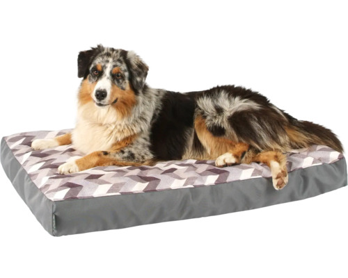 Pes leží na pelechu s geometrickým vzorom