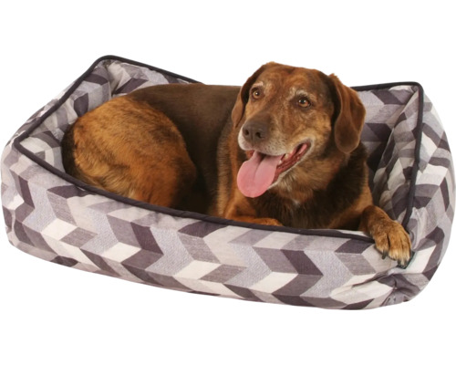 Pes leží v pelechu s geometrickým vzorom