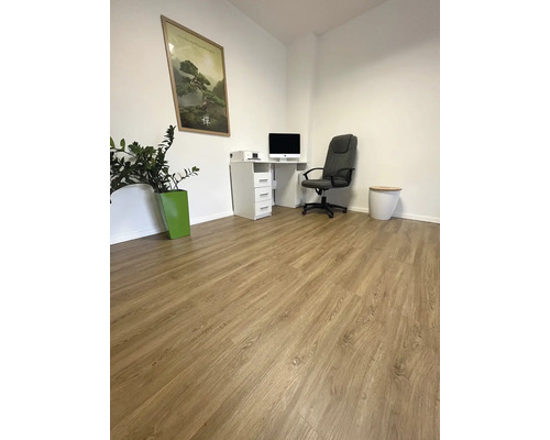 Svetlá miestnosť s laminátovou podlahou, písacím stolom, kancelárskou stoličkou a izbovou rastlinou