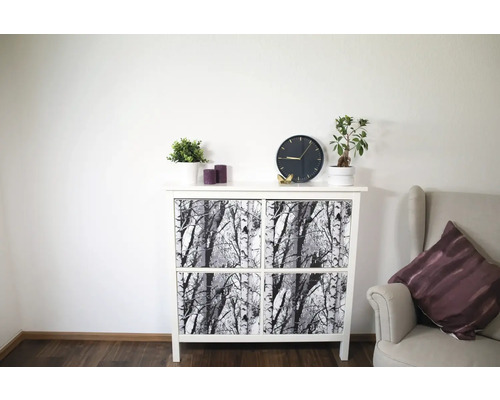 Ozdobná skrinka s brezovým vzorom v obývacej izbe