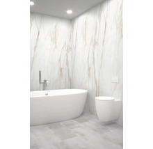 Kúpeľňa s voľne stojacou vaňou a závesným WC pred obloženou stenou