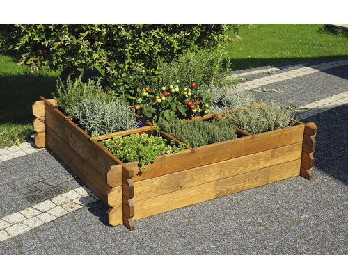 Drevený vyvýšený záhon s rôznymi rastlinami, ako sú paradajky a bylinky