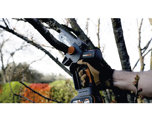 Osoba používa akumulátorovú prerezávaciu pílu Worx na prerezávanie stromu.