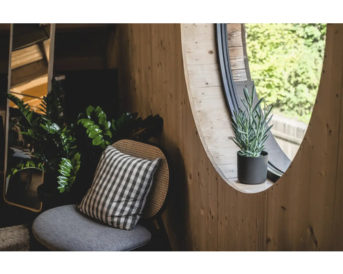 Návrh rohu so stoličkou, vankúšom, izbovými rastlinami a okrúhlym oknom v drevenej izbe