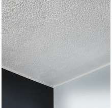 Strop so štruktúrovanou omietkou