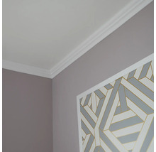 Roh miestnosti so stropnou lištou a dekoráciou na stenu