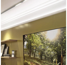 Obývacia izba s policami a obrazom lesa