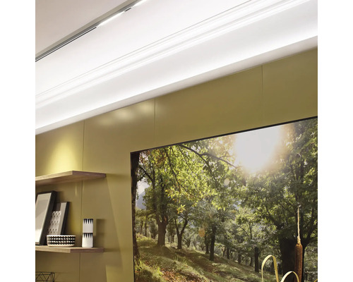 Obývacia izba s policami a obrazom lesa