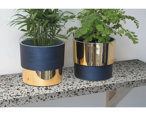 Dve izbové rastliny v kvetináčoch s drevenou štruktúrou a zlatým akcentom na pracovnej doske