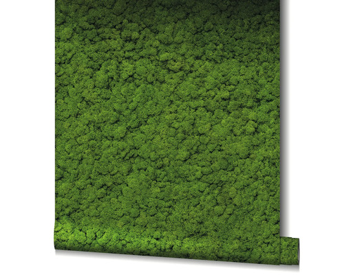 Rola tapety s motívom machu