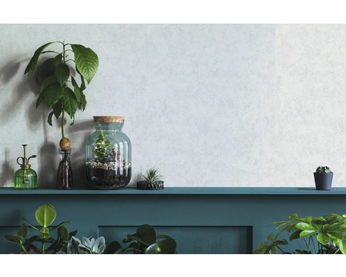 Dekoratívne izbové rastliny a kvetináče na poličke