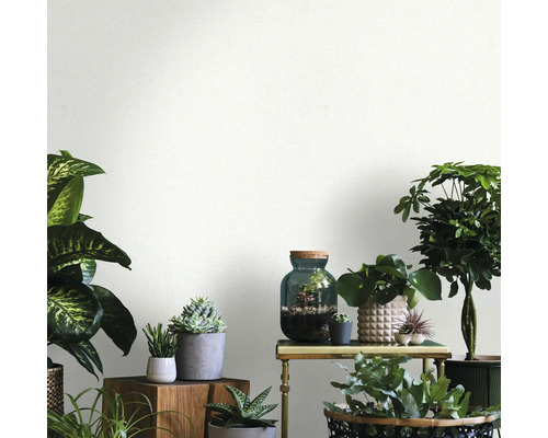 Interiér s rôznymi izbovými rastlinami na stoloch a policiach, svetlá a priateľská atmosféra.