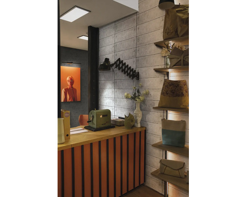 Interiér s pultom, lampou a regálmi s tovarom