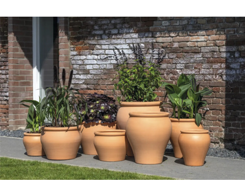 Skupina terakotových kvetináčov s rôznymi rastlinami pred tehlovou stenou