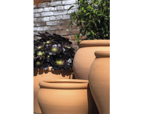 Rôzne terakotové kvetináče s rastlinami pred tehlovou stenou