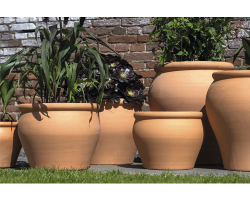 Rôzne osadené terakotové kvetináče pred tehlovou stenou.