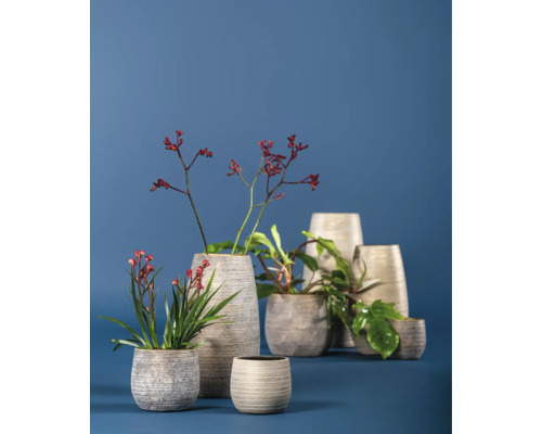 Rôzne osadené kvetináče na modrom pozadí