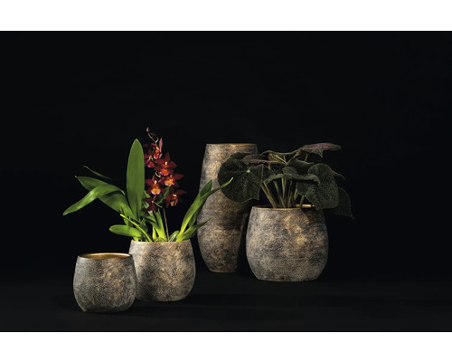 Rôzne kvetináče a hrantíky s rastlinami