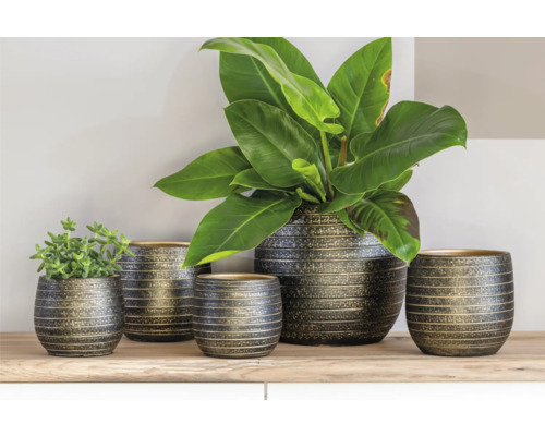 Dekoratívne kvetináče rôznych veľkostí na polici s rastlinami