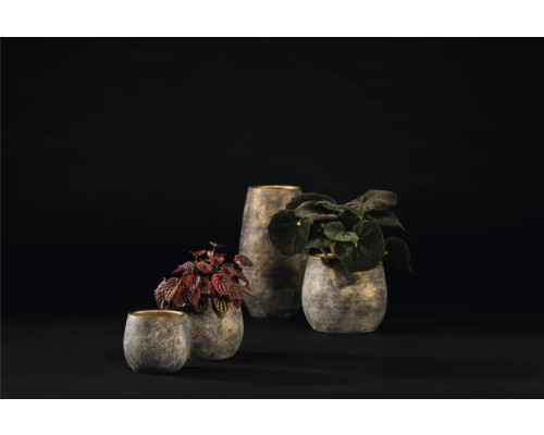 Rôzne rastliny v štruktúrovaných kvetináčoch