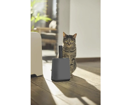 Mačka vedľa mačacej toalety a lopatky na podstielku