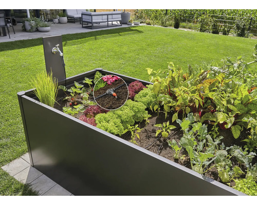 Vyvýšený záhon so zavlažovacím systémom a rôznou zeleninou v záhrade