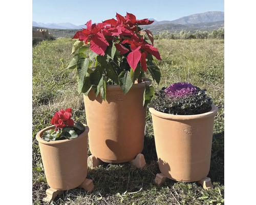 Tri terakotové kvetináče s rôznymi rastlinami vonku