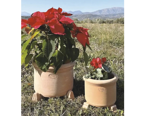 Dva terakotové kvetináče s rastlinami vonku