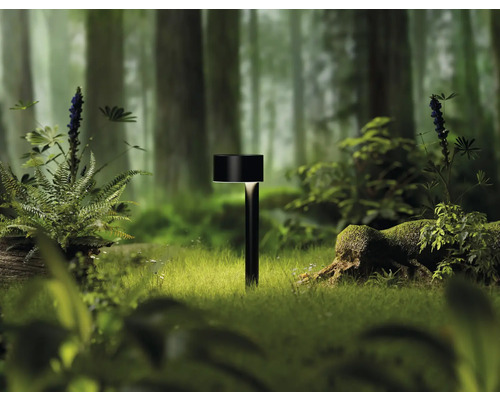 Záhradná lampa v lese