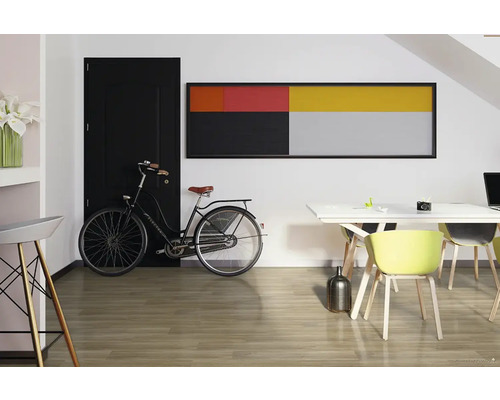 Svetlá izba s bicyklom, jedálenským stolom, stoličkami a umeleckým dielom