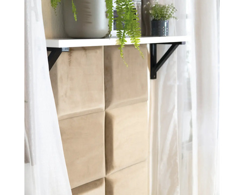 Nástenné panely a nástenná polica s izbovými rastlinami a držiaky.