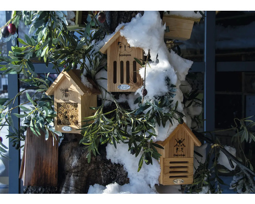 Niekoľko drevených hmyzích hotelov s rôznymi motívmi hmyzu visí na strome.